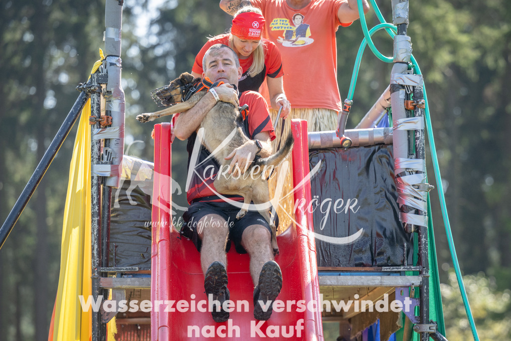 1437_ZZ91279 | kk-dogfotos