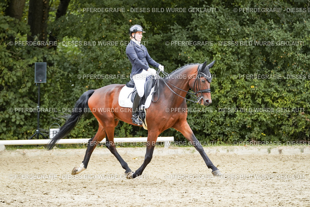 DSC07244 | Pferdegrafie