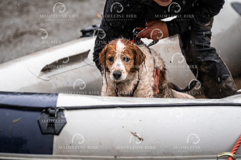 madeleinebirr-fotografie2025.campcanis.11-12Uhr-262 | hundefotografie-birr