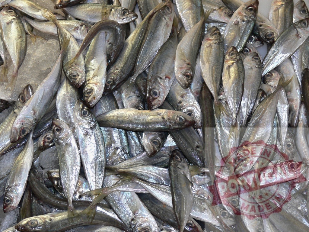 Fresh mackerel fish pile on ice at market | Fresh mackerel fish pile in a market displaying seafood on ice, ready for sale - Realisiert mit Pictrs.com