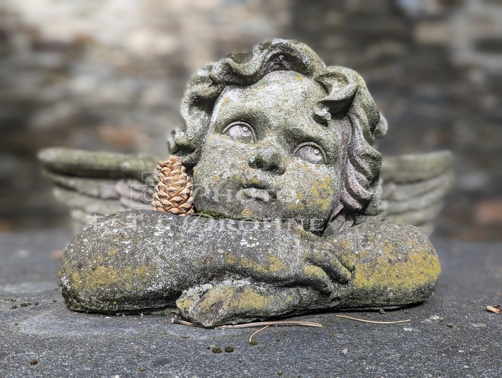 PXL_20230702_153347054.PORTRAIT | Ein Engel aus Stein - Realisiert mit Pictrs.com