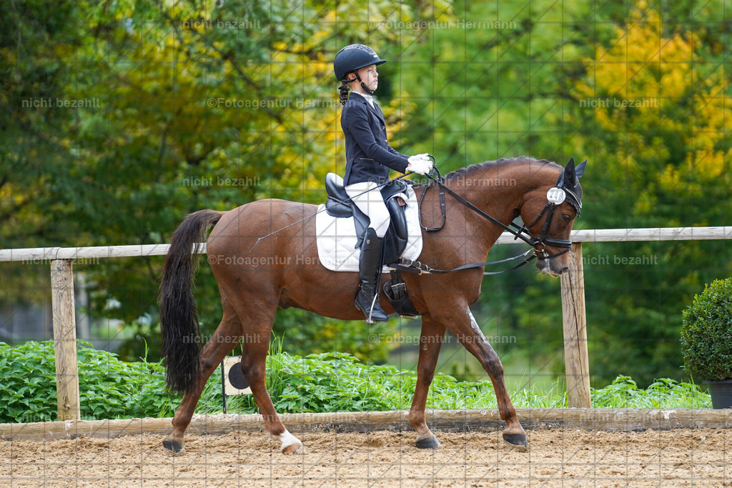 20221008-FAH01390 | Diessen am Ammersee, 2022, Dressur- und Springturnier, Reitsportbilder, Turnierfotografen Bayern, Pferdefotografen, Fotoagentur Herrmann, Turnierbilder