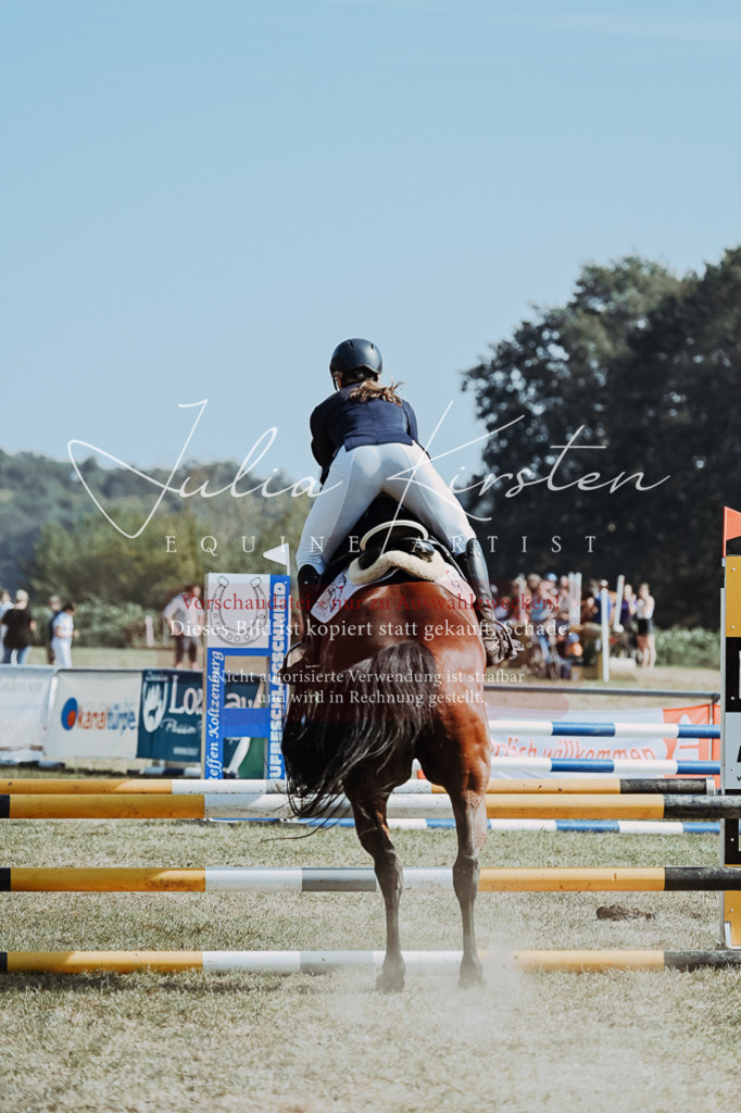 DSC_9403 | Pferde- und Turnierfotografie in Westsachsen. Pferdeportraits, Auftragszeichnungen und intuitive Kunst.