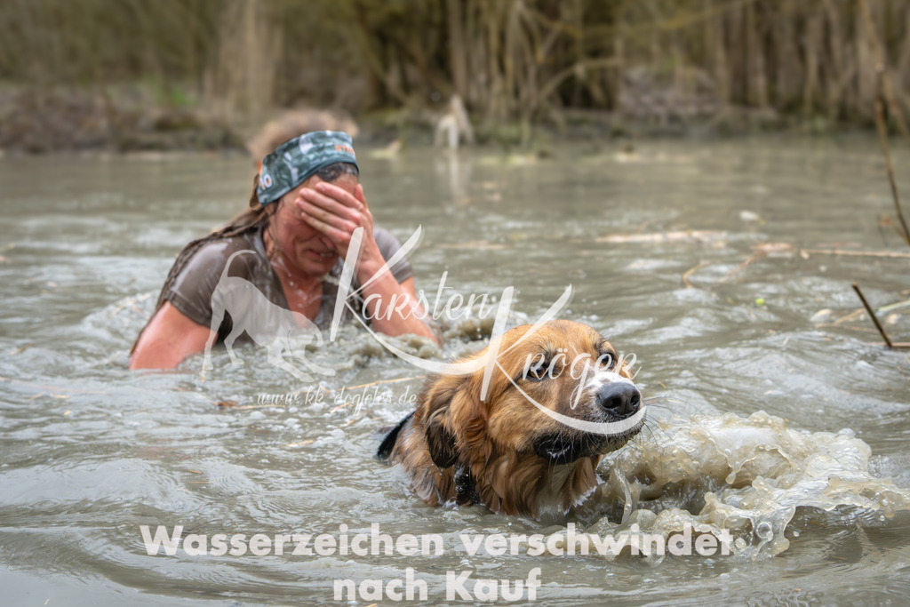 1330_ZZ99703 | kk-dogfotos