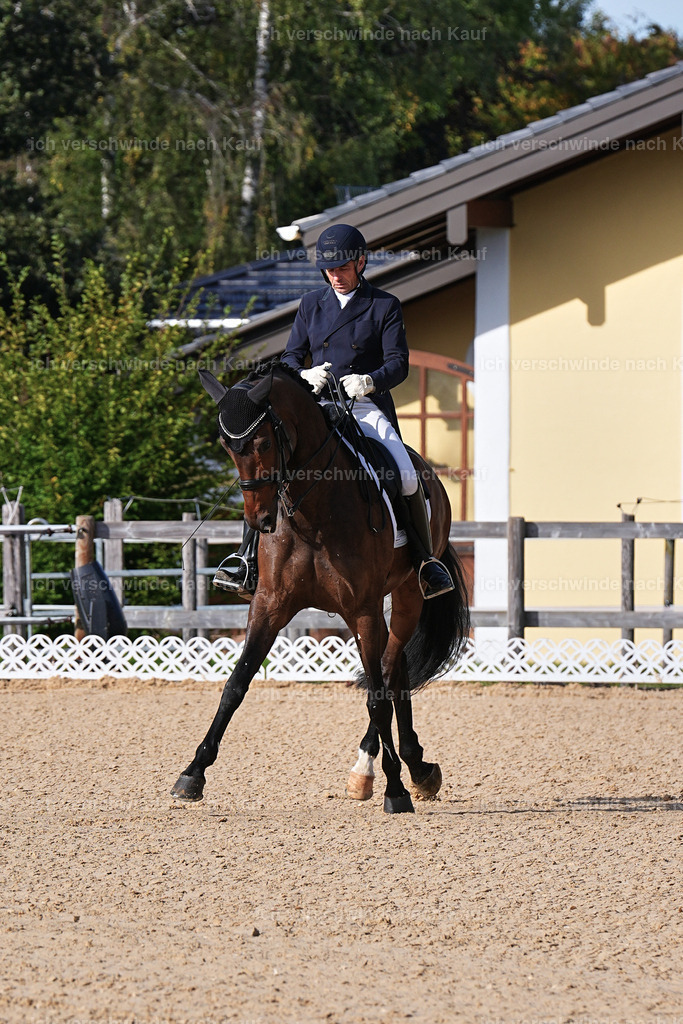 13-226-S___ -Marixx-7033 | working equitationturnier fotograf videograf stoibphotography marixx film working equitation deutschland reitsport turnierfotografie eventfotografie equestrian events