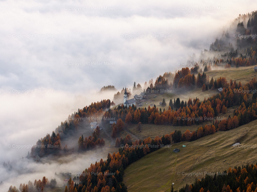 Zellinkopf_Herbst_24-115 | default