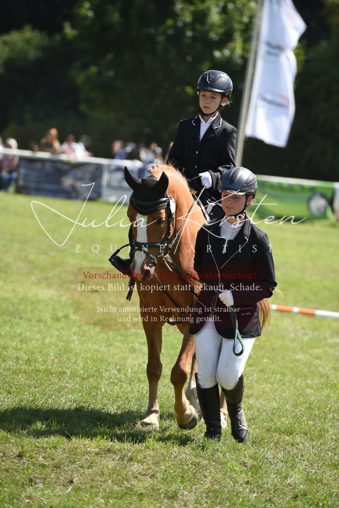 DSC_9718 | Pferde- und Turnierfotografie in Westsachsen. Pferdeportraits, Auftragszeichnungen und intuitive Kunst.