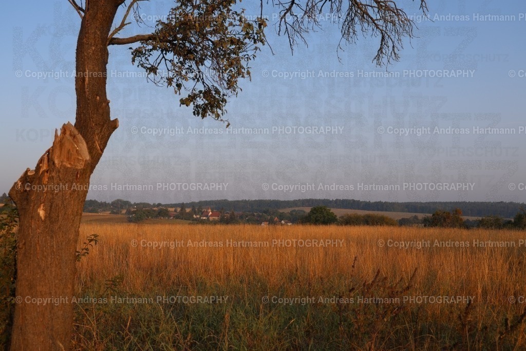Blick nach Tautenhain | Blick nach Tautenhain - Realisiert mit Pictrs.com