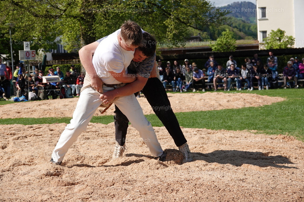 DSC00511 | Schwingen - Realisiert mit Pictrs.com