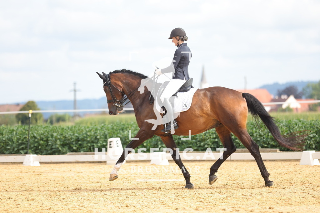 0P6A4204 | Willkommen bei Brunnmayr - Design & Fotografie – Ihrem Spezialisten für Reitturniere und Pferdeveranstaltungen in Oberösterreich, Salzburg und Bayern! Seit über 17 Jahren sind wir leidenschaftlich dabei.