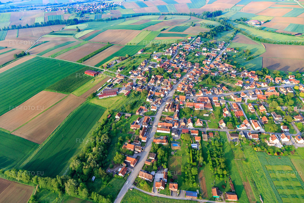 Vue aérienne: Rue de la Mairie depuis le nord-est à Schœnenbourg dans le département Bas Rhin, France – .Photo: IMG_113977.jpg prise le 23/05/2019 par Werner Riehm/FLY-FOTO.eu – Résolution de l'original: 5264 x 3510 px