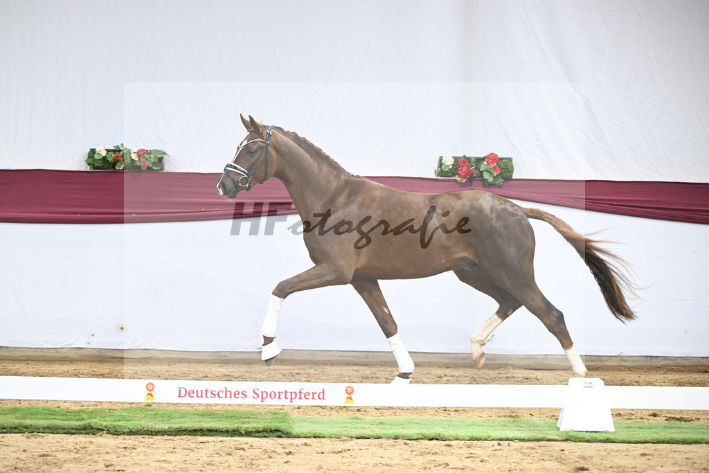 Kat-Nr. 138 Flashbang x Benetton Dream_Christian Gaeher_47251452 | hf-fotografie - Realisiert mit Pictrs.com