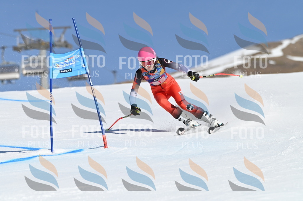 BGV_7579 | holidayphoto