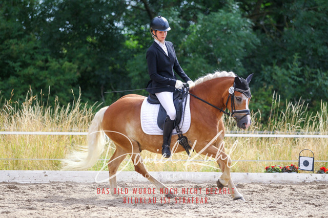 DKP45878 | Turniersportfotografie; Pferdefotografie; Dressurfotografie