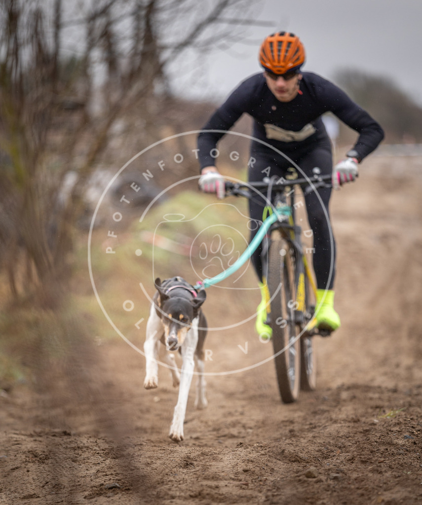 DV3A8869 | Hundefotografie, Tierfotograf, Pfotenfotografie, Fotoshooting Hund, Hunde Portrait, Hundesport, Hundeportraits, Heideshooting, Hunde, Sportfotograf, Hundefotograf, Turnierhundsport, THS,  - Realisiert mit Pictrs.com
