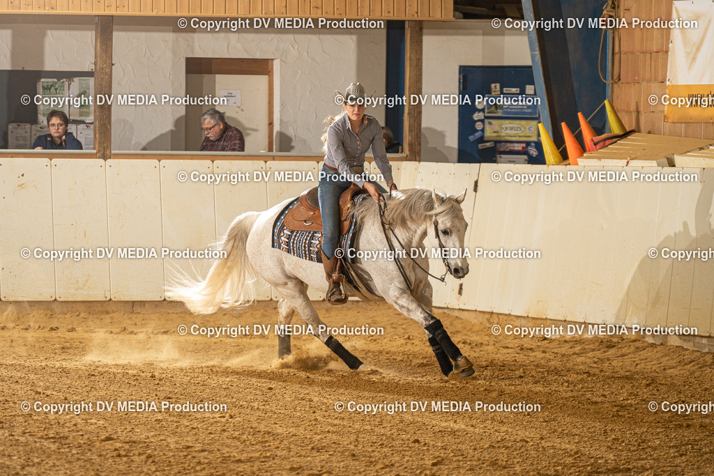 MIT00479 | dv-media-shop - Realisiert mit Pictrs.com