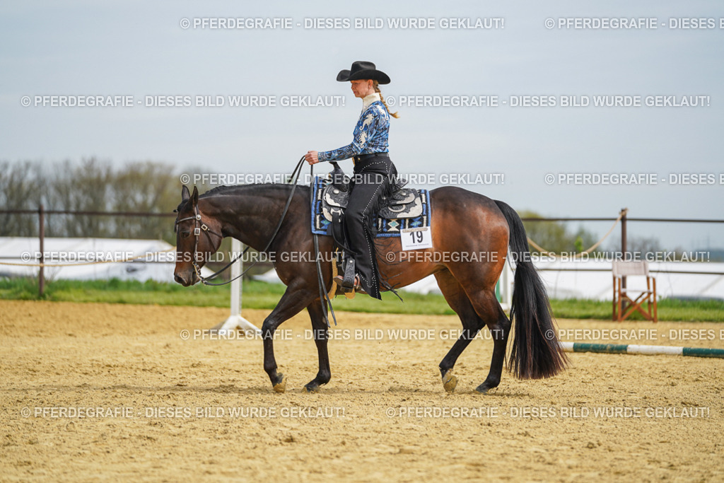 DSC03591 | Pferdegrafie