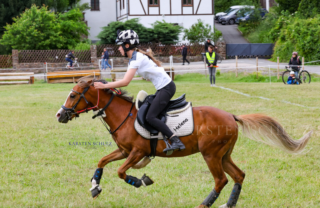 1B3A1586 | Reitsport Reiten