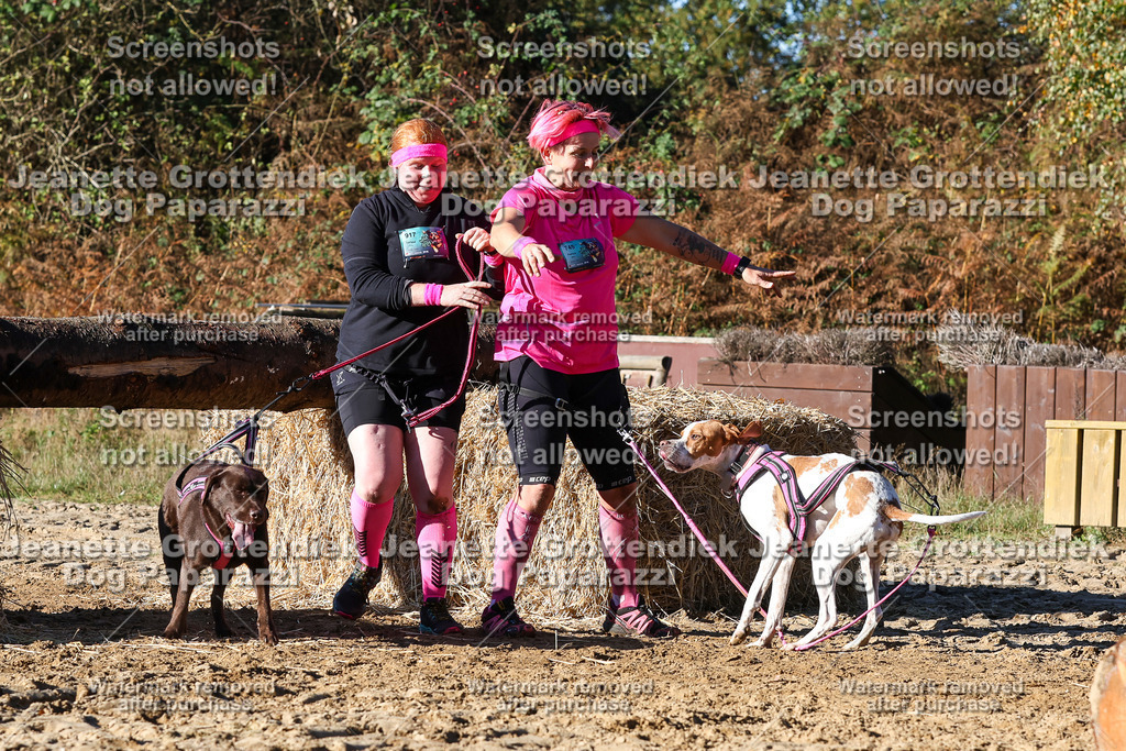 Dog Paparazzi - Strongdog 10-25-1960 | Dog Paparazzi Jeanette Grottendiek Fotografie & Videografie - Realisiert mit Pictrs.com