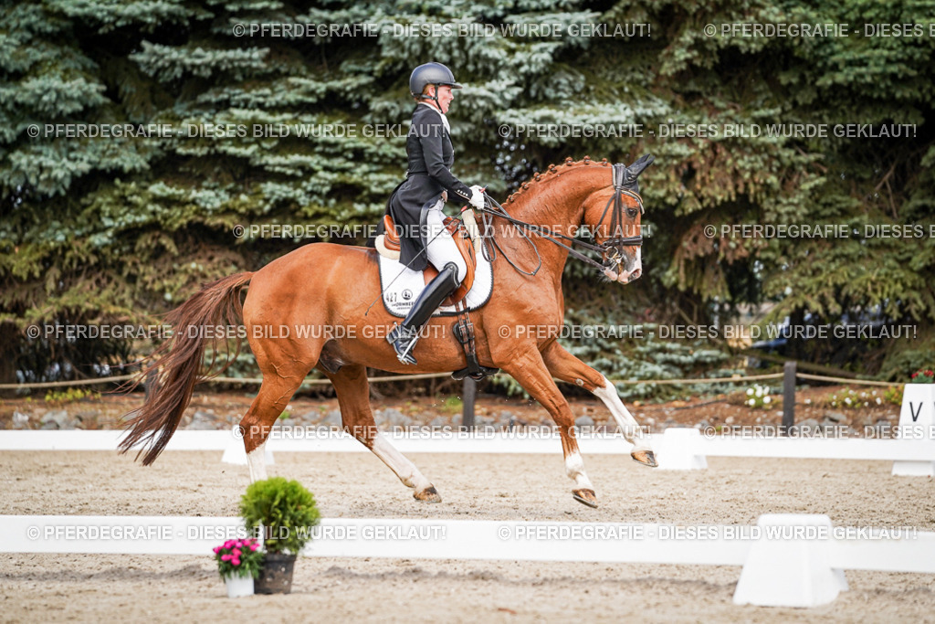 DSC06509 | Pferdegrafie