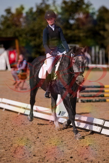 2026_10_03_Siefer-Hof_120028_Z81_02322373 | Professionelle Reitsport-, Turnier- und Eventfotografie von Robert Broda. Galerien mit ausgewählten und bearbeiteten Bildern direkt online ansehen und bestellen.