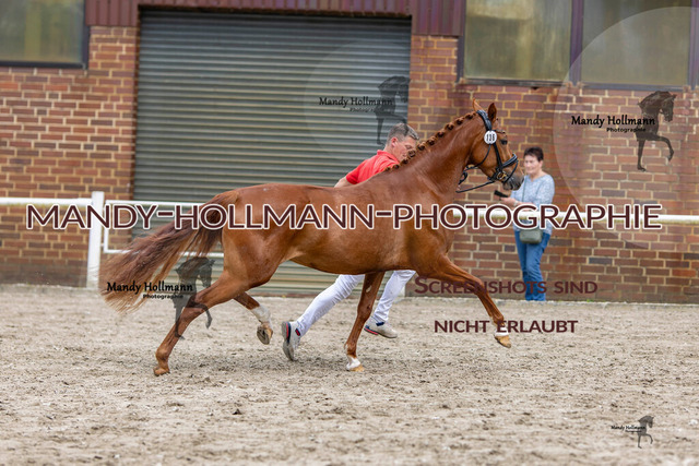 0P2A1260 | mandyhollmannphotographie