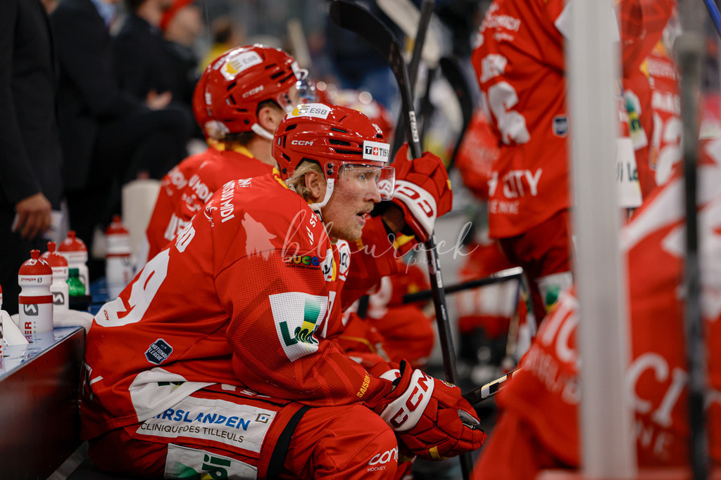 EHCB vs HCAP 20260115_wb-4451 | Sportbilder, Sportfotograf, Hochzeits- und Eventfotografin, Flugshows, Portraits und Tiershooting, Aviation, Downhill, Nationalleague, Swissleague, International