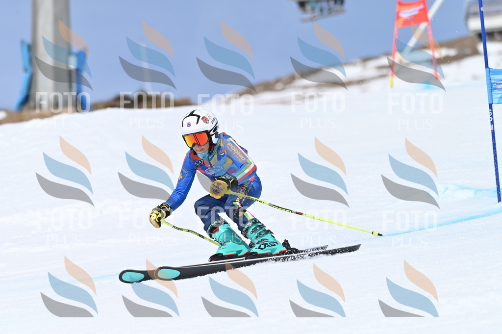 BGV_2117 | holidayphoto