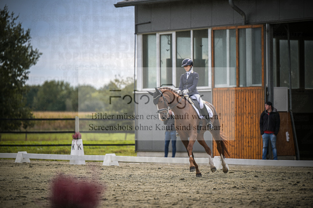 DOS_1664 | Entdecke hochwertige Reitturnierfotos von Foto Oger. Professionell, emotional und authentisch – jetzt Lieblingsmomente im Shop bestellen.Deutschlandweite Turnierfotografie. - Realisiert mit Pictrs.com