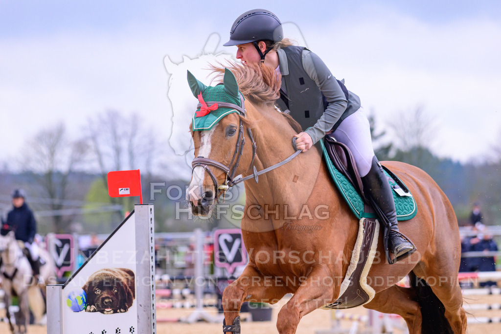 10042026-Mammendorf-Prfg16-0152 | Fokus Hufschlag Fotografie - Realisiert mit Pictrs.com