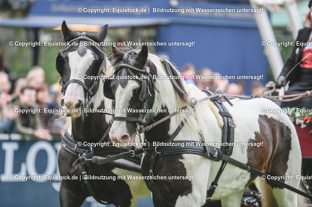 20240517_Lange-Pferdenacht_0063 | Foto: Thomas Hartig