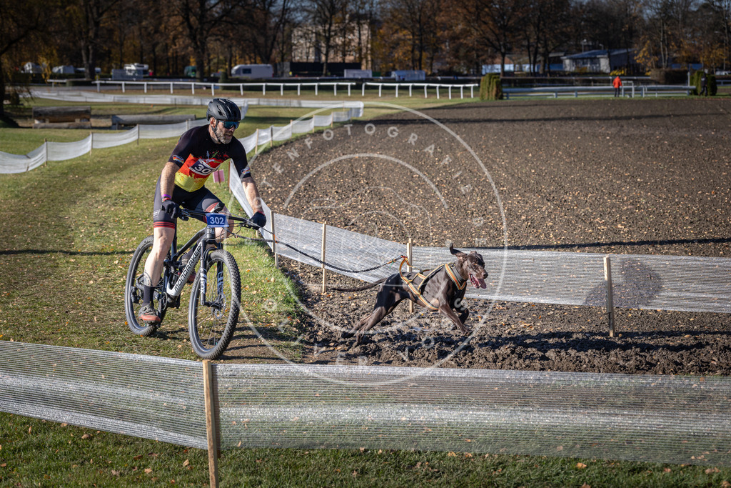 CaniXpix_DV3A6120 | Hundefotografie, Tierfotograf, Pfotenfotografie, Fotoshooting Hund, Hunde Portrait, Hundesport, Hundeportraits, Heideshooting, Hunde, Sportfotograf, Hundefotograf, Turnierhundsport, THS,  - Realisiert mit Pictrs.com