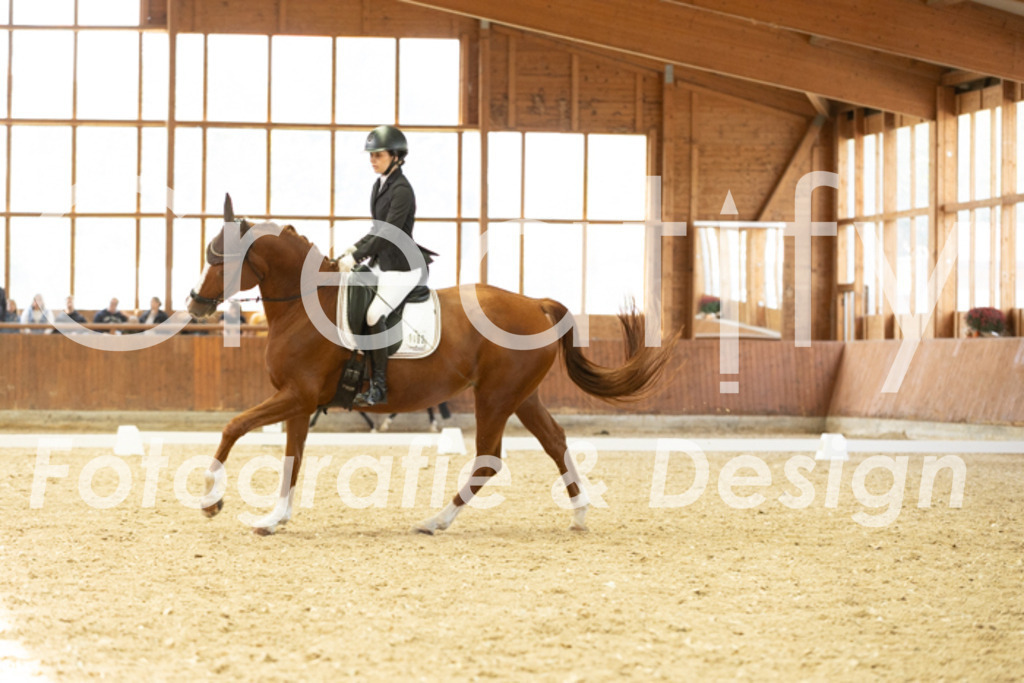 IMG_5912 | Creatify Fotografie