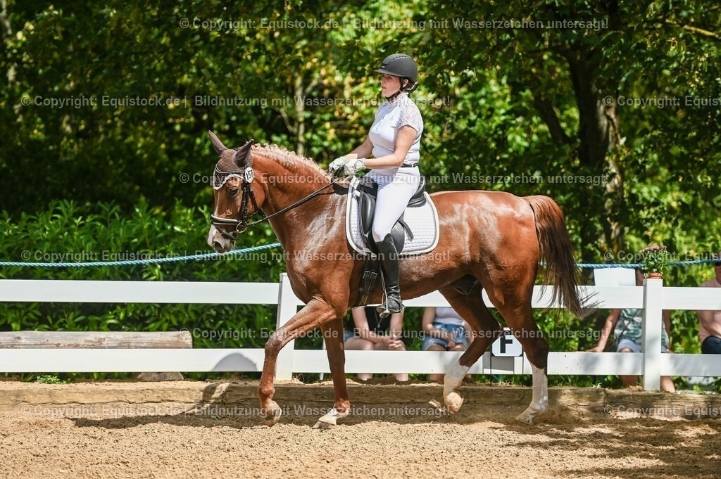 20230715_02_Dressurreiterprüfung Kl.L_0229 | equistock