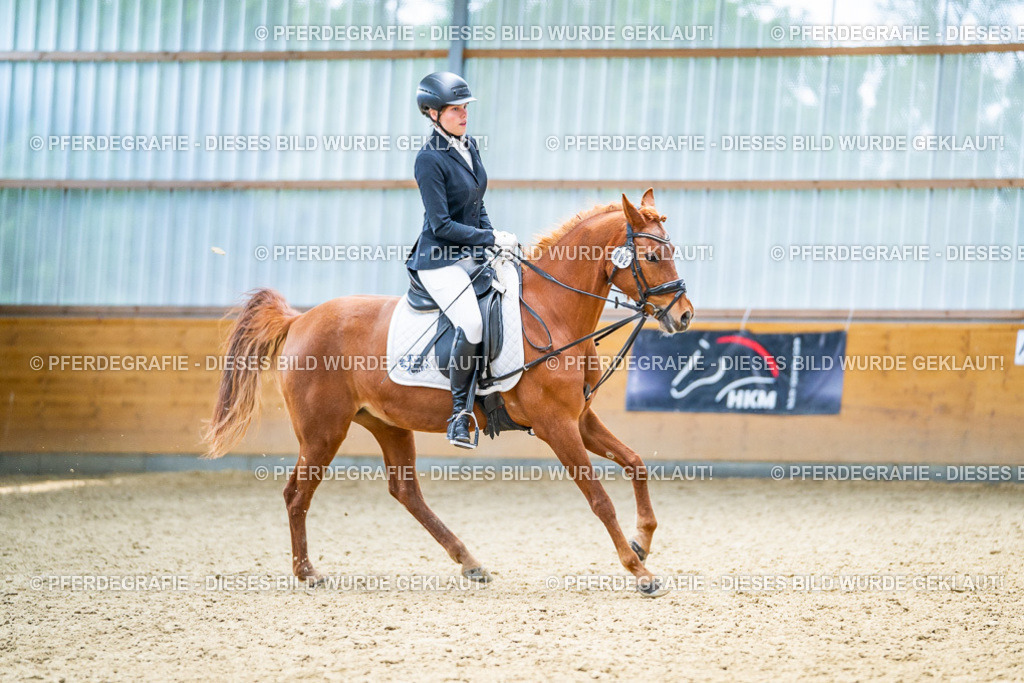 DSC04014 | Pferdegrafie