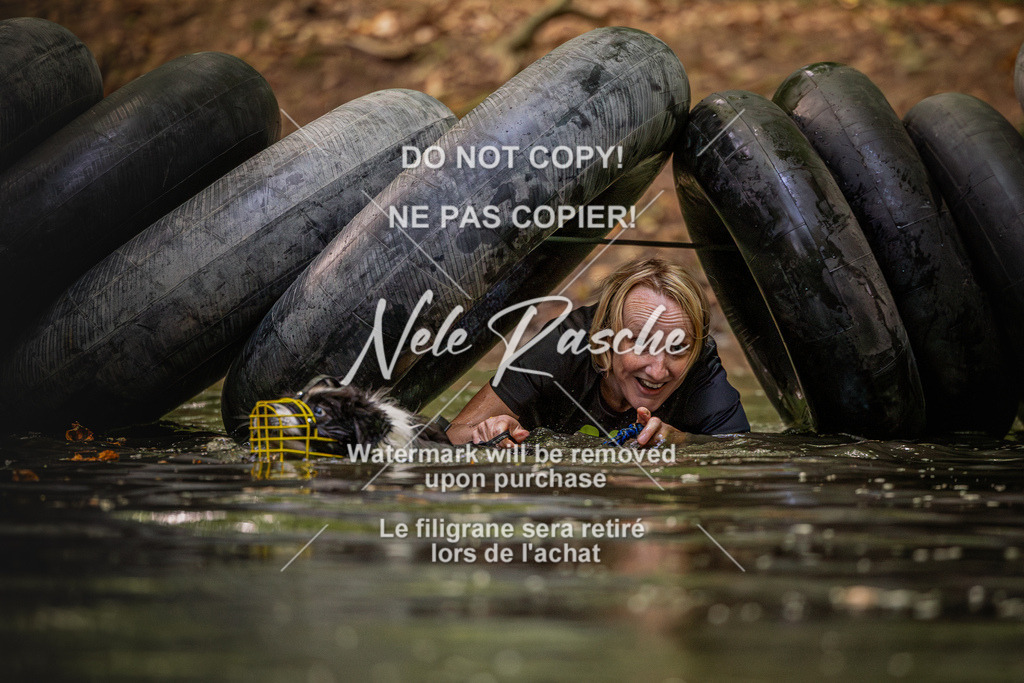 nelerasche_SaWingst0845-1000_101 | nelerasche