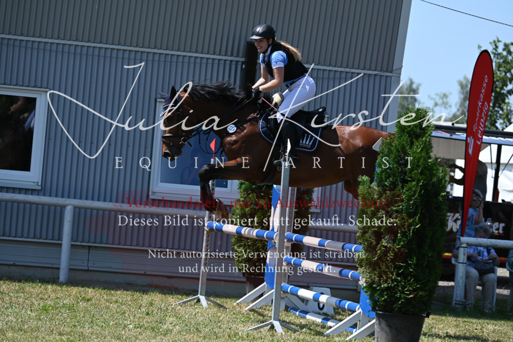 DSC_0672 | Pferde- und Turnierfotografie in Westsachsen. Pferdeportraits, Auftragszeichnungen und intuitive Kunst.