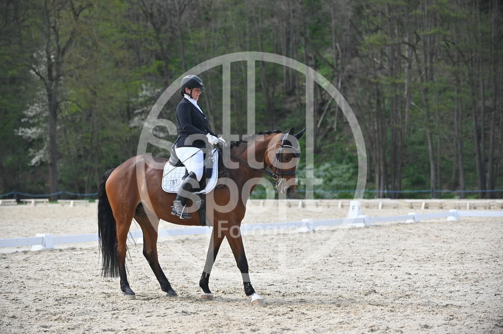 DSC_4656 | sattelsport - Realisiert mit Pictrs.com