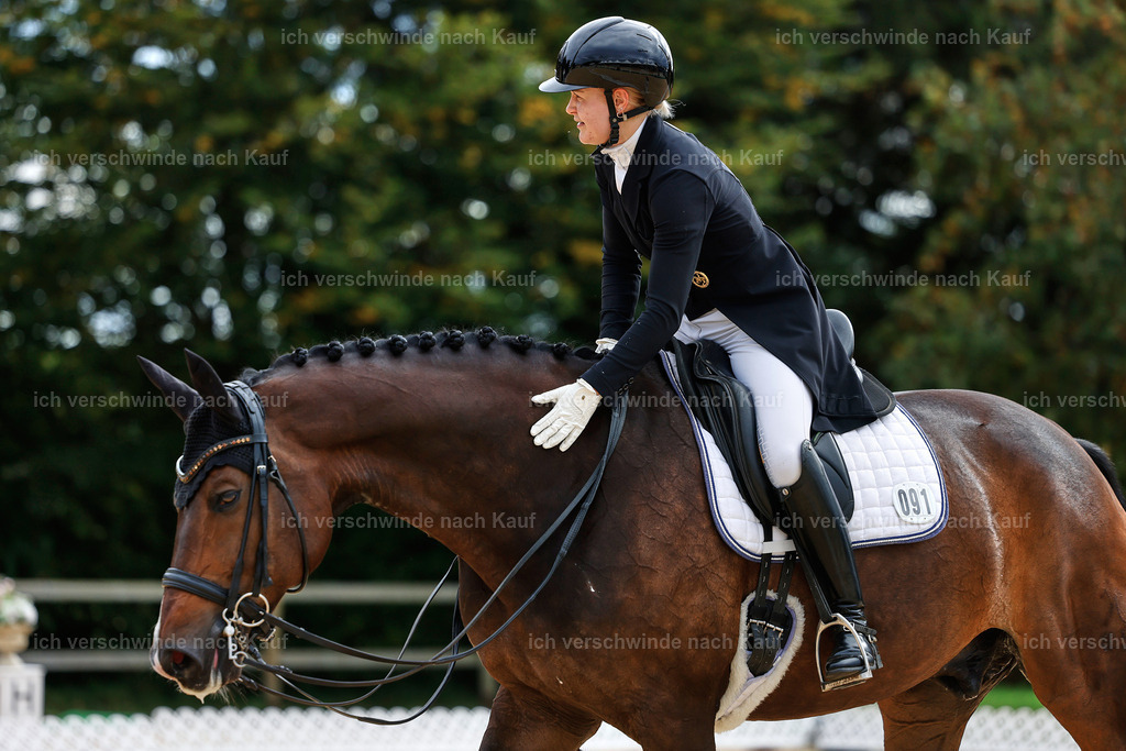 11-091-Dressur S___-StoibPH-1300 | working equitationturnier fotograf videograf stoibphotography marixx film working equitation deutschland reitsport turnierfotografie eventfotografie equestrian events