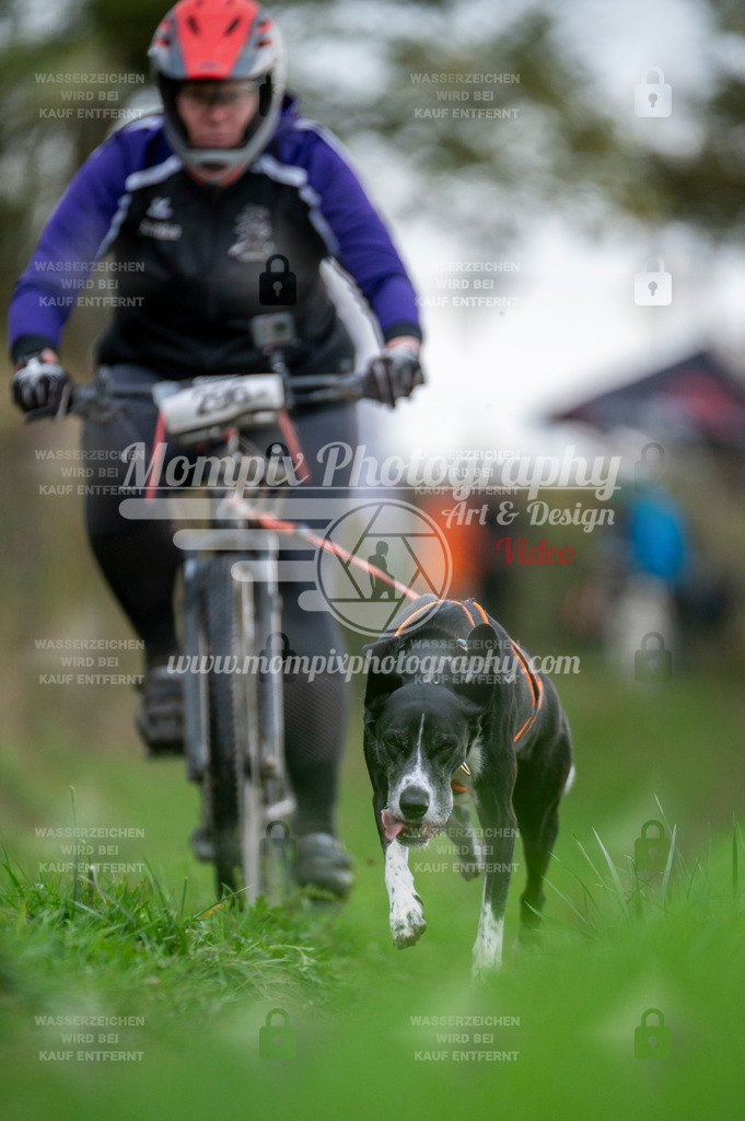 TSB_2023_E8_Bike-70 | PayLife