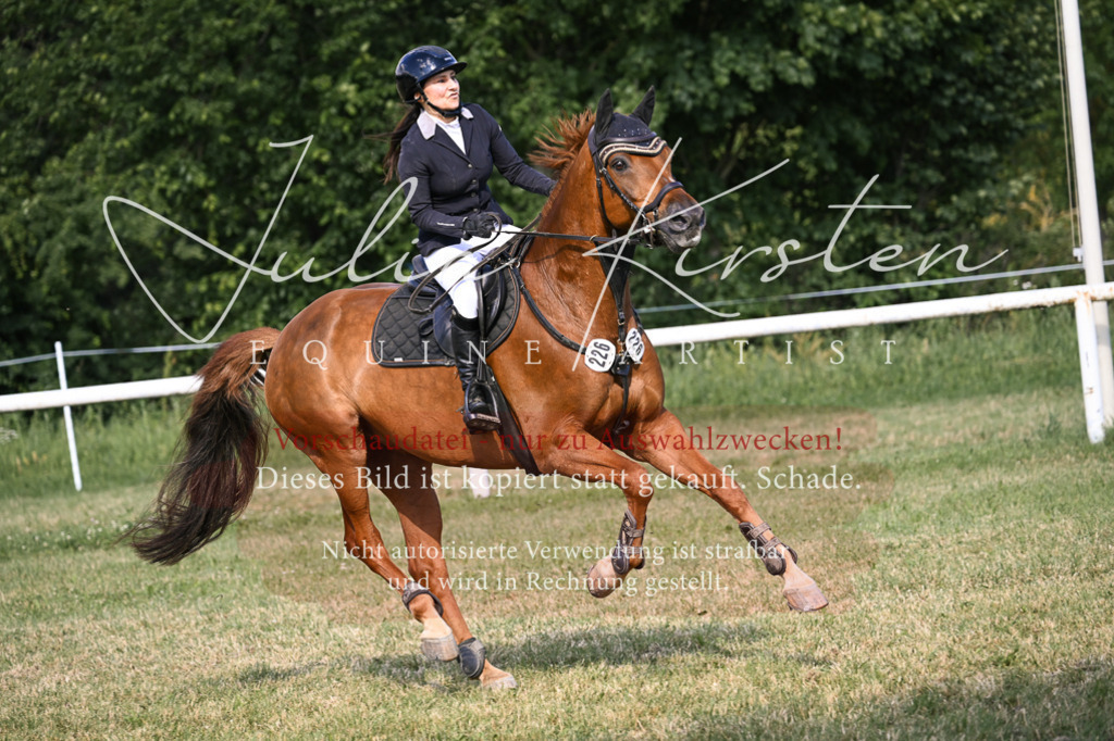 DSC_1374 | Pferde- und Turnierfotografie in Westsachsen. Pferdeportraits, Auftragszeichnungen und intuitive Kunst.