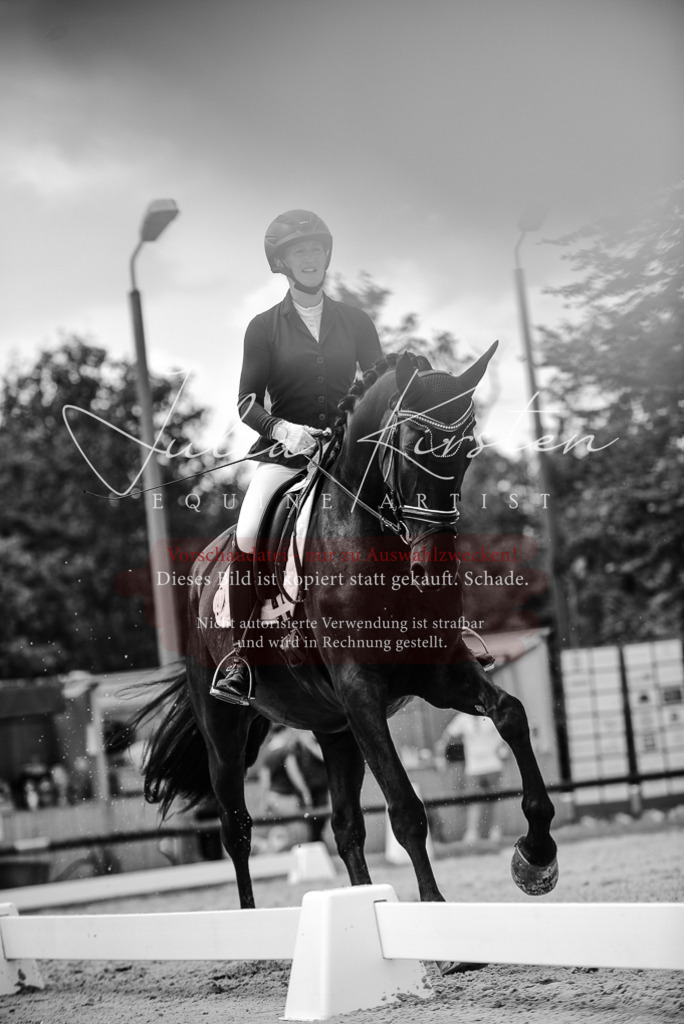 DSC_9068 | Pferde- und Turnierfotografie in Westsachsen. Pferdeportraits, Auftragszeichnungen und intuitive Kunst.