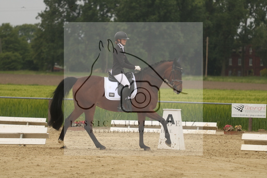 IMG_7005 | jessicahollubetz_pferdephotographie - Realisiert mit Pictrs.com