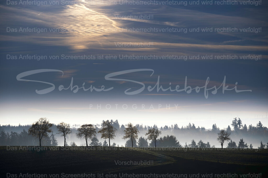 Ein Morgen in der Eifel | Exklusive Naturfotografie für stilvolle Wanddekoration ★ Premium Wandbilder Made in Germany ✔️ FineArt Drucke & Downloads ✔️ Brillante Farben, höchste Qualität & weltweiter Versand ✔️ - Realisiert mit Pictrs.com