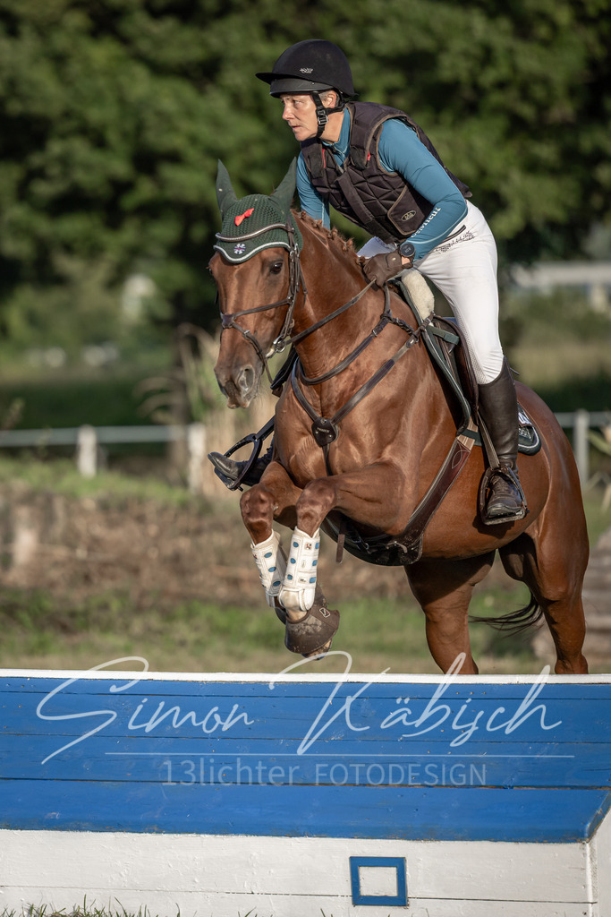 20250907-_3LI8287 | Tierfotografie Pferde, Hunde, Katzen, Haustiere.
Turnierfotografie Reitturniere, Reiten, Springreiten, Dressur in Hanau, dem Main-Kinzig-Kreis und dem Rhein-Main- Gebiet um Frankfurt