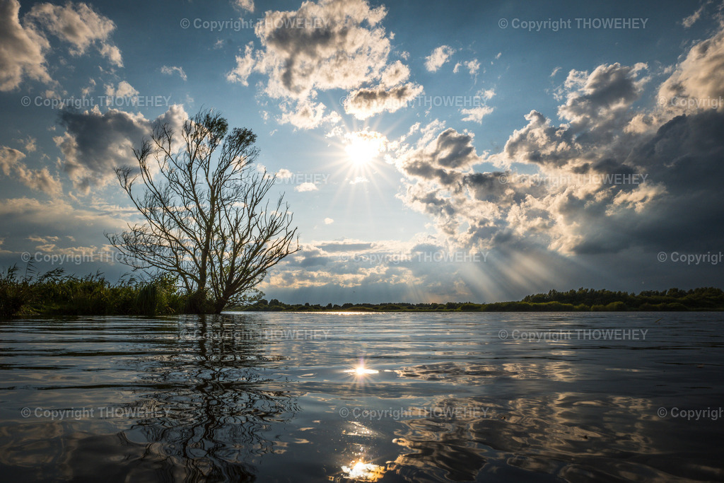 _1041274 | thowehey - Realisiert mit Pictrs.com