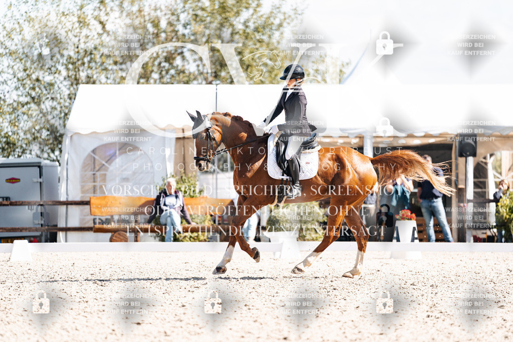 CK902839 | Turnierfotografie Pferdefotografie Trier Rheinland-Pfalz Pferdesport Reitsport Tierfotografie Sportfotografie Pferdevideo Pferdevideografie Equestrianvideography equestrianphotography  - Realisiert mit Pictrs.com