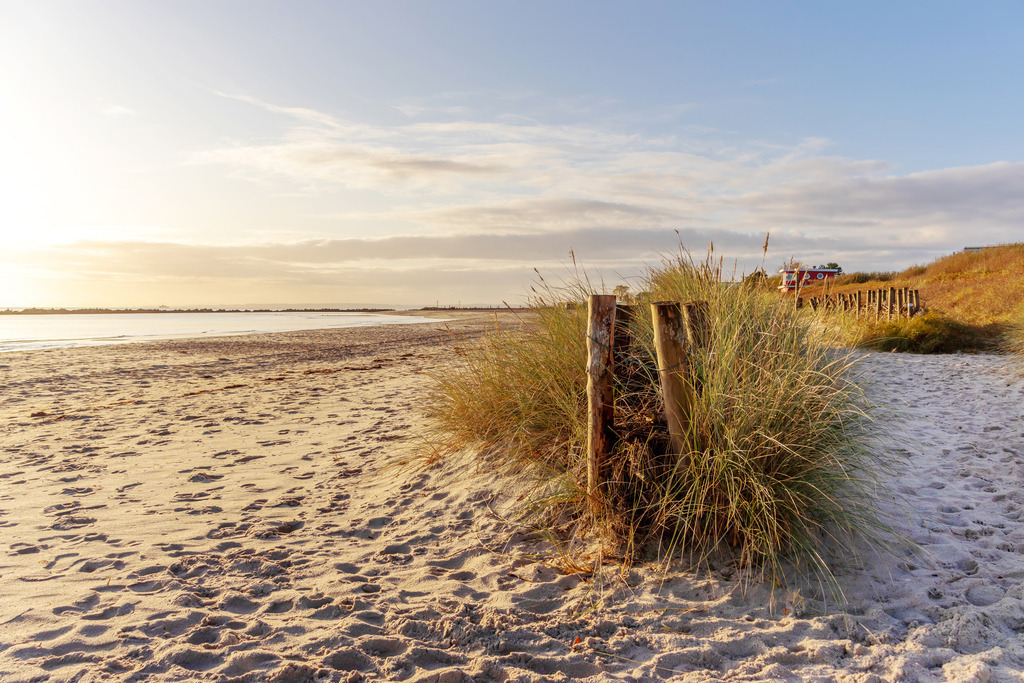 XXL Wandbild: Strandhafer am Sandstrand im Morgenrot – Leinwandbild | Sanftes Erwachen an der Küste im Querformat. Dieses XXL Wandbild fängt die stille Schönheit eines frühen Morgens an der Ostsee ein: Goldener Strandhafer wiegt sich schützend vor hölzernen Zaunpfählen im ersten Licht des Tages. Im Hintergrund erstreckt sich der weite Sandstrand unter einem weichen, pastellfarbenen Himmel, der die Ruhe des Morgenrots widerspiegelt. Holen Sie sich diese friedliche und hoffnungsvolle Stimmung nach Hause, um in Ihren Wohn- oder Schlafräumen einen Ort der Entspannung zu schaffen. Auch in Wellnessbereichen oder Ferienapartments wirkt dieses Naturmotiv besonders harmonisierend. Die warme Farbstimmung des Sonnenaufgangs verleiht dem Raum eine gemütliche Atmosphäre und eine einladende Tiefe. Der Druck auf hochwertiges, 260 g/m² schweres Leinwandgewebe überzeugt durch eine edle, reflexionsfreie Oberfläche. Die sorgfältige Aufspannung in Handarbeit auf einen 2 cm starken Holzkeilrahmen aus nachhaltiger Forstwirtschaft unterstützt eine dauerhafte Formstabilität und eine hochwertige Leinwand-Präsentation. - Realisiert mit Pictrs.com