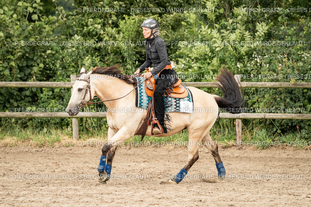 DSC02192 | Pferdegrafie