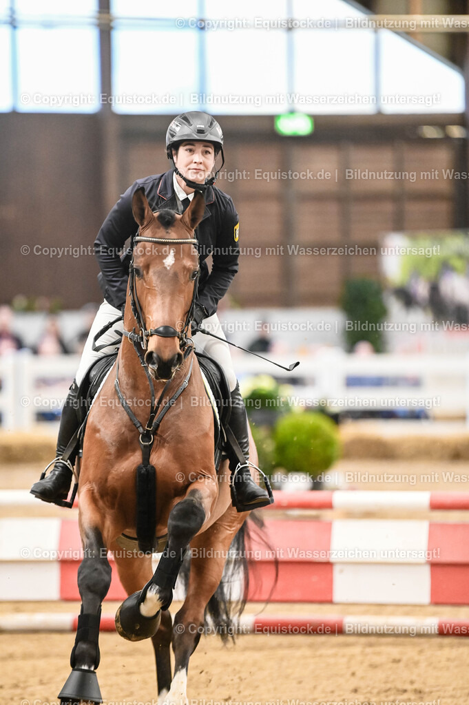 20260307_Hengstvorstellung-Marbach_0016 | equistock